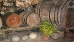 ново село бъчва вино мазе трифон зарезан грозде гроздобер изба